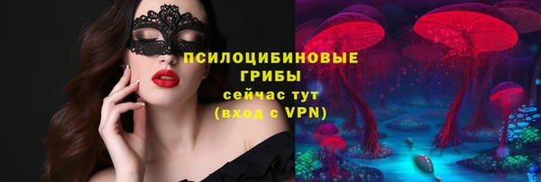 МДПВ Армянск